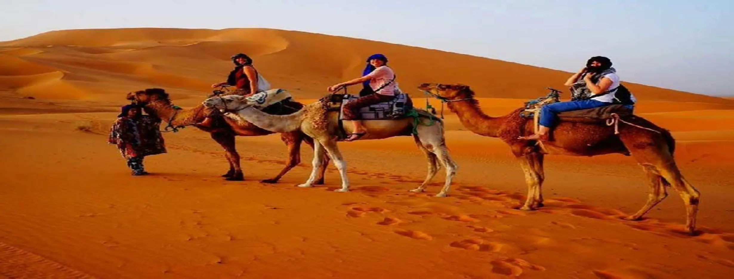 Image for Camel Trekking